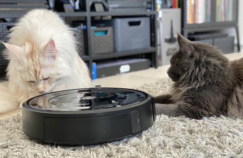 robot hút bụi Roomba
